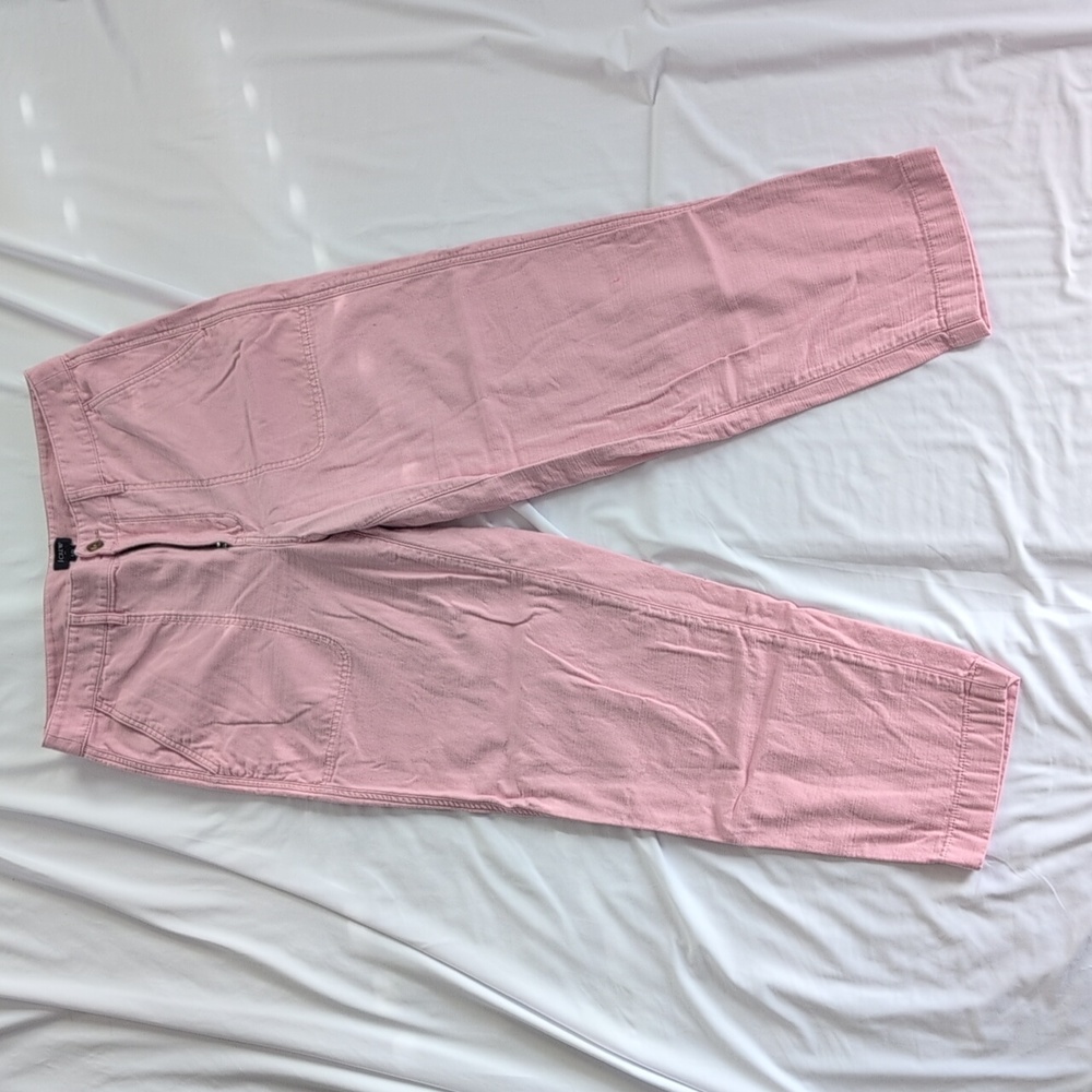 J. Crew Light Pink Trousers